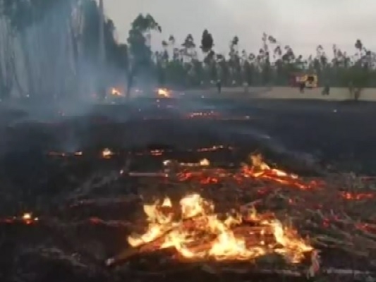 Chile: Se menţin codurile ”roşu” şi ”galben” pentru incendii de vegetație