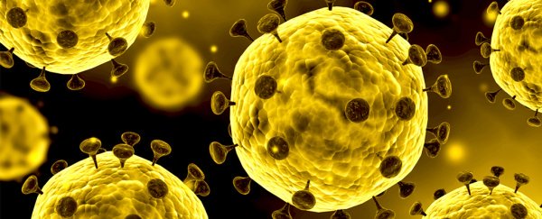 Schimb de opinii la cel mai înalt nivel privind amenințarea legată de noul coronavirus